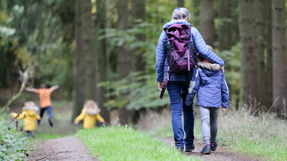 Grandmother with grandchildren hiking in a forest.